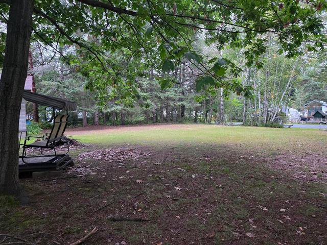 Cour