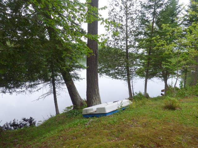Bord de l'eau