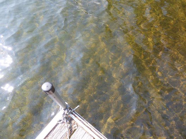 Bord de l'eau