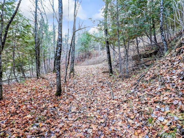 Land/Lot