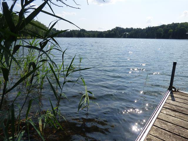Bord de l'eau