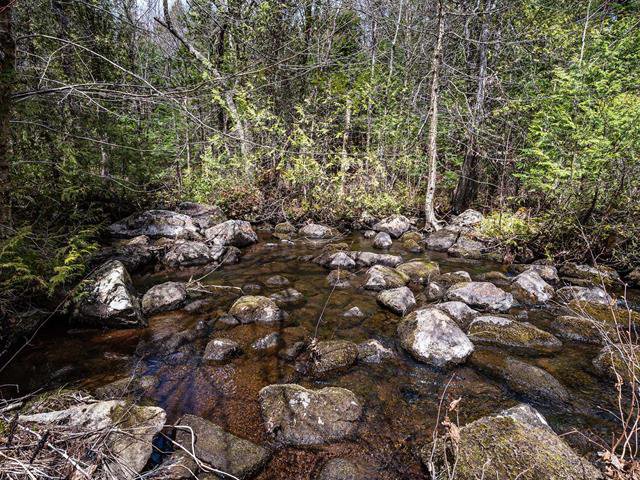 Stream