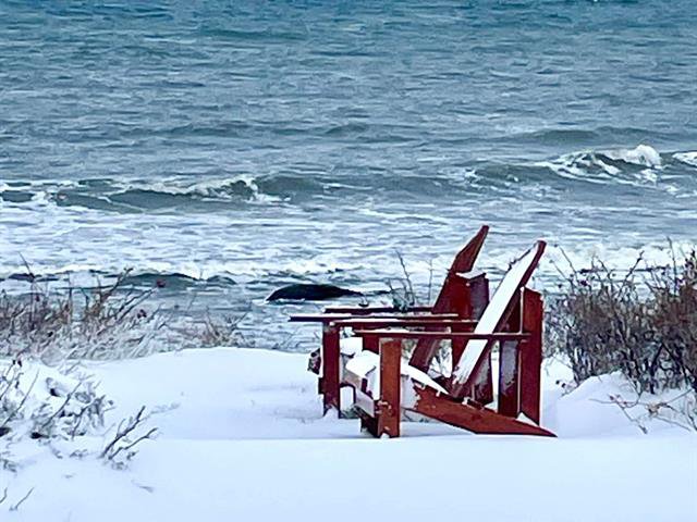 Bord de l'eau