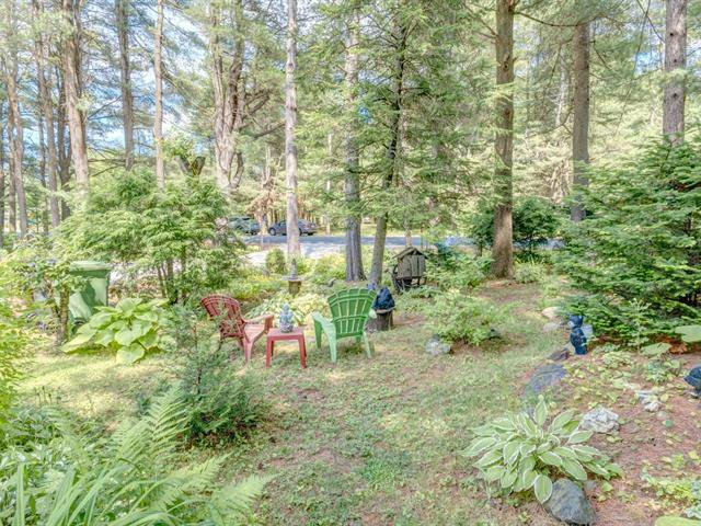 Wooded area