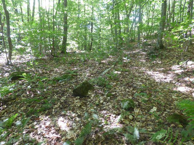 Land/Lot