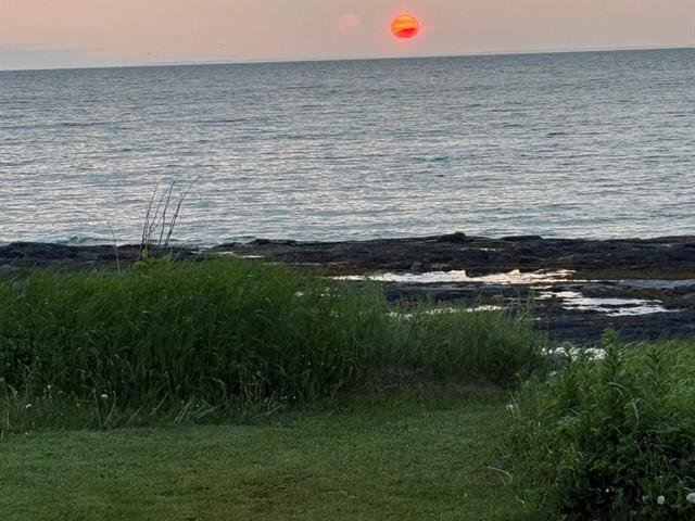 Bord de l'eau