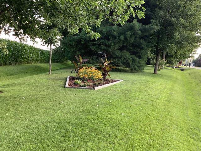 Vue d'ensemble du terrain