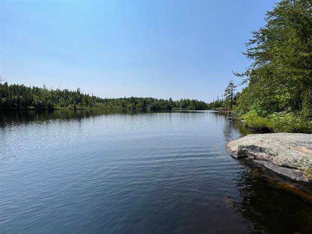 Vue sur l'eau
