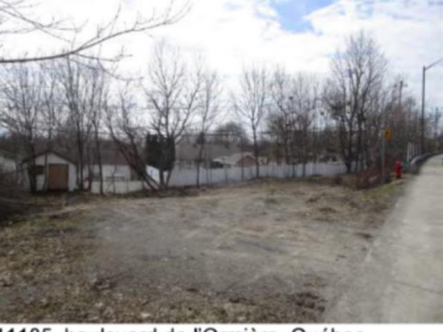 Land/Lot