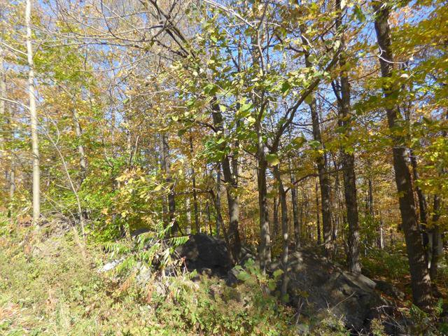 Land/Lot