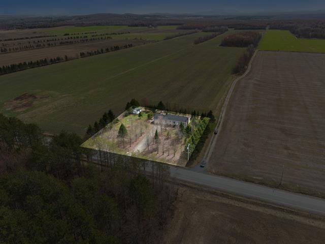 Overall View